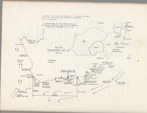 THE SEAWEEDS OF THE TSITSIKAMA COASTAL NATIONAL PARK - DR S C SEAGRIEF (1967)
