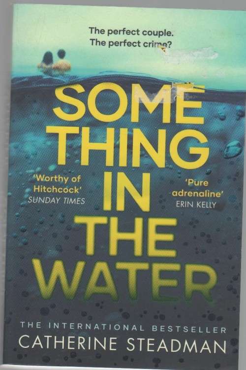 SOMETHING IN THE WATER - CATHERINE STEADMAN (2019)