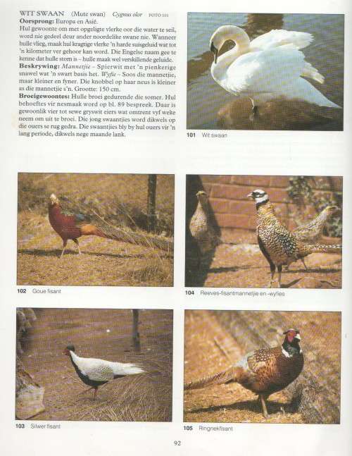 BOER SUKSESVOL MET VOELS - VIERENTIA BEUKES (2 DE DRUK 1993)
