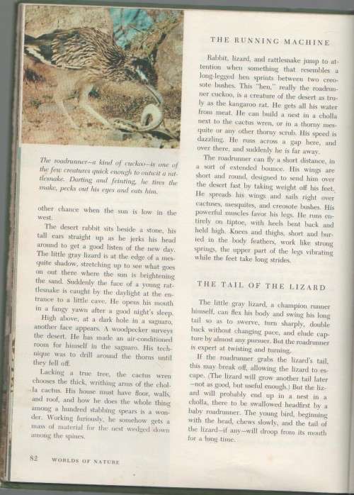 WALT DISNEY`S WORLDS OF NATURE (1965)