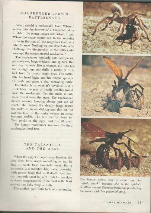 WALT DISNEY`S WORLDS OF NATURE (1965)