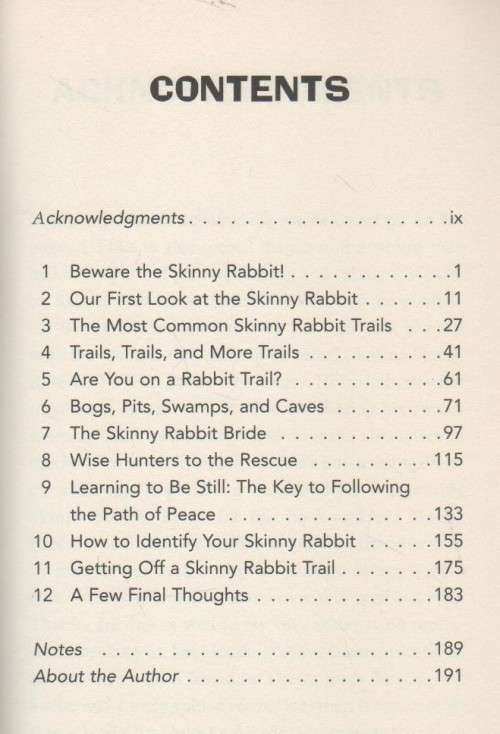 CHASING SKINNY RABBITS - DR JOHN TRENT (2007)