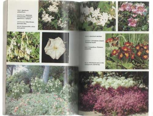 GROWING SCENTED PLANTS IN SOUTH AFRICA - I F LA CROIX (1984)
