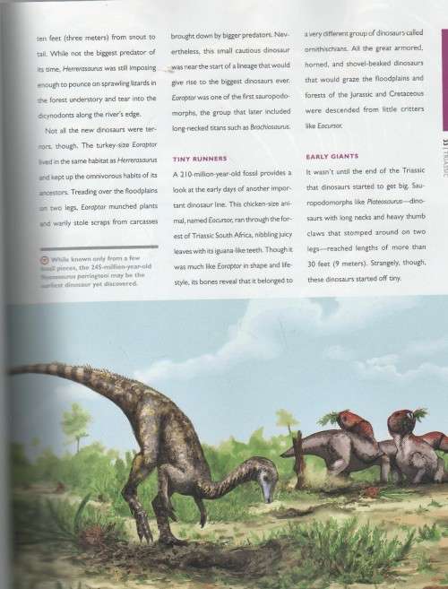 NATIONAL GEOGRAPHIC WHEN DINOSAURS RULED (2014)