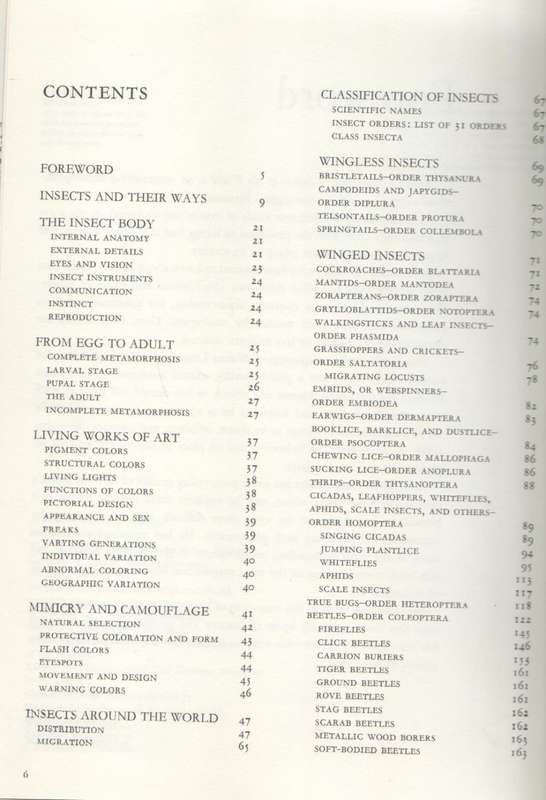 INSECTS OF THE WORLD - WALTER LINSENMAIER (1972)