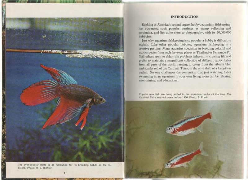 TROPICAL FISH FOR BEGINNERS - DR HERBERT R AXELROD (1980)