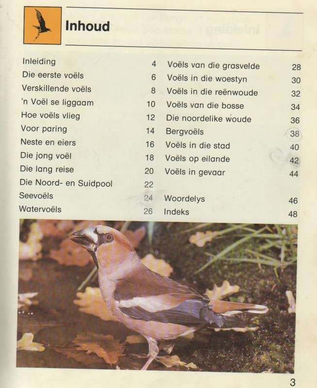 VOELS - DONNA BAILEY (1 STE UITGAWE 1989)