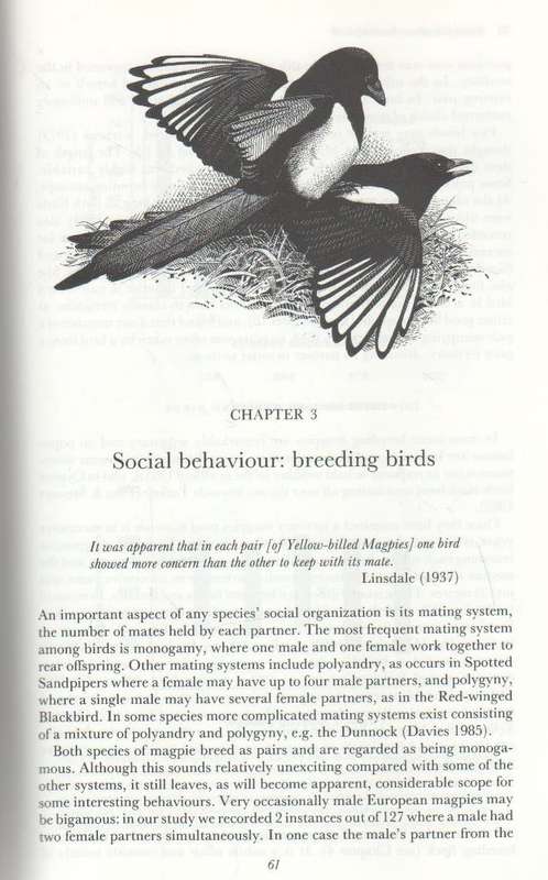 THE MAGPIES - T R BIRKHEAD (1 ST PUBLISHED 1991)