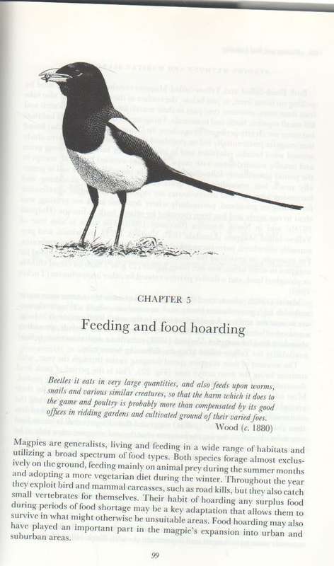 THE MAGPIES - T R BIRKHEAD (1 ST PUBLISHED 1991)