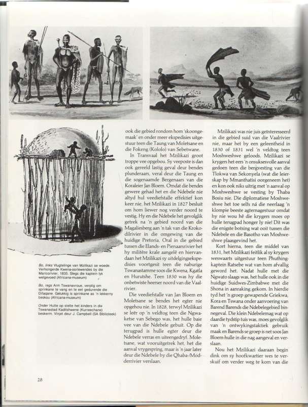 STAMME & RYKE, ERFENISREEKS: 19 DE EEU - J S BERGH & A P BERGH (1 STE UITGAWE 1984)
