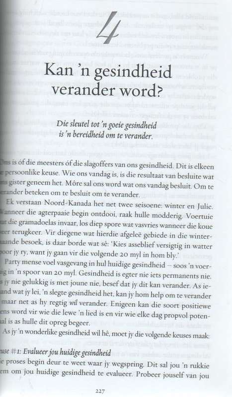 DIE 8 PILARE VAN UITNEMENDHEID - JOHN C MAXWELL (2012)