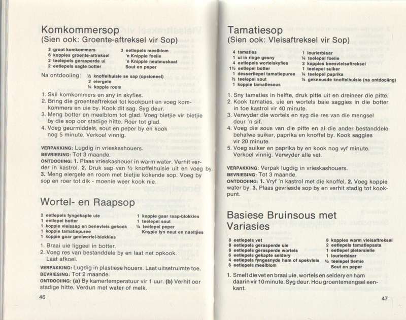 RESEPTE VIR DIE VRIESKAS - ERINA BEZUIDENHOUT (1973)