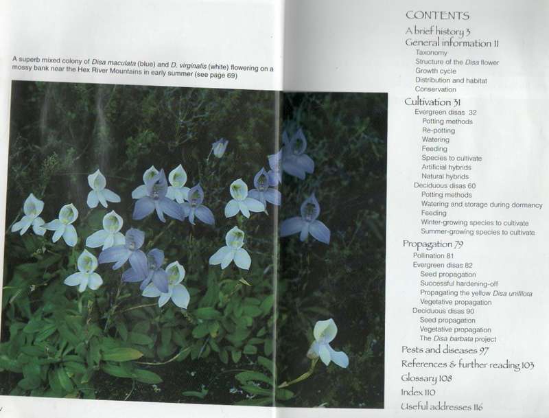 GROW DISAS - HILDEGARD CROUS AND GRAHAM DUNCAN (2006)