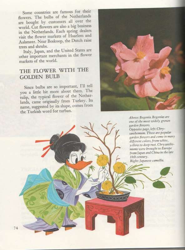DISNEY`S WONDERFUL WORLD OF KNOWLEDGE (1973)