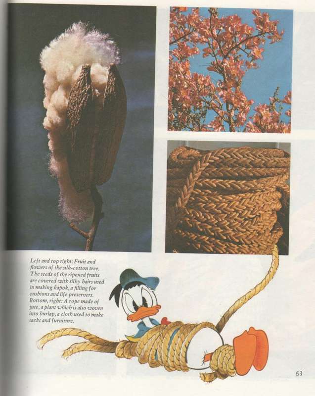 DISNEY`S WONDERFUL WORLD OF KNOWLEDGE (1973)