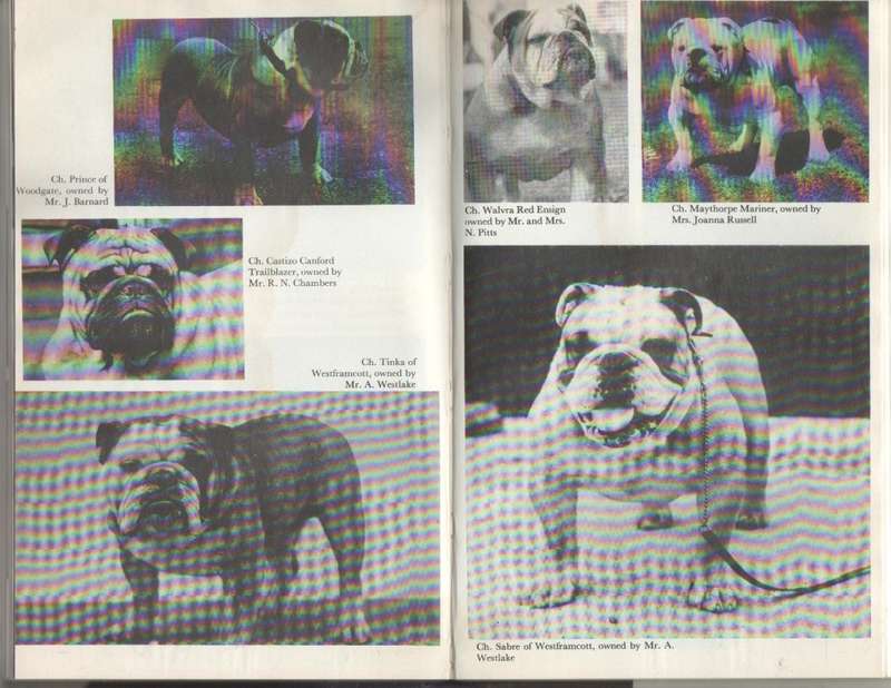 THE BULLDOG - JOHN F GORDON (1973)