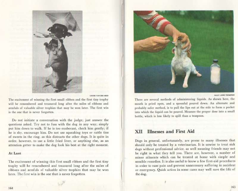 CHIHUAHUA GUIDE - HILARY HARMAR (1968)