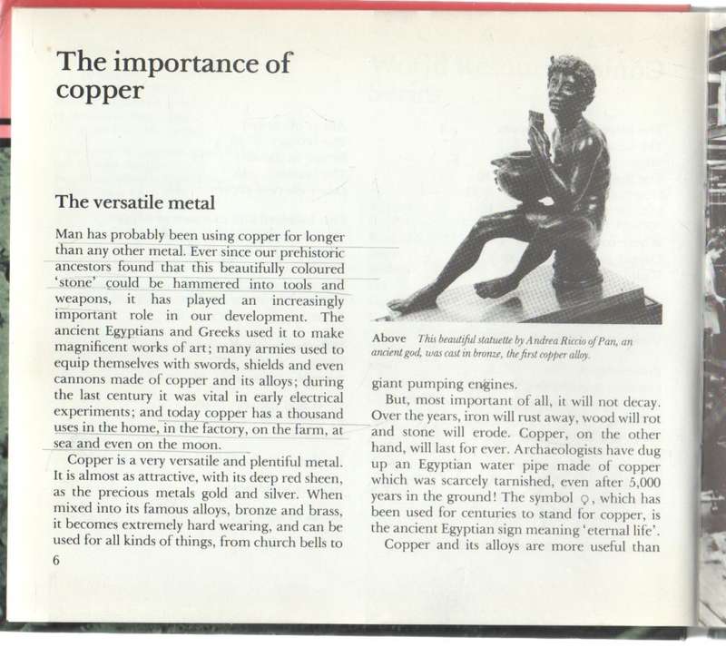 COPPER - ANDREW LANGLEY (1980)