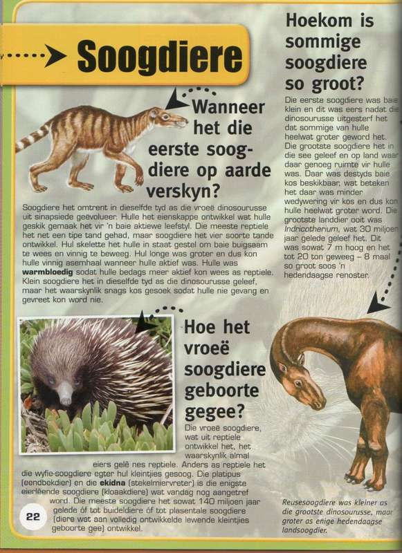 PREHISTORIESE LEWE, VRAE EN ANTWOORDE - CAROLINE DANIELS