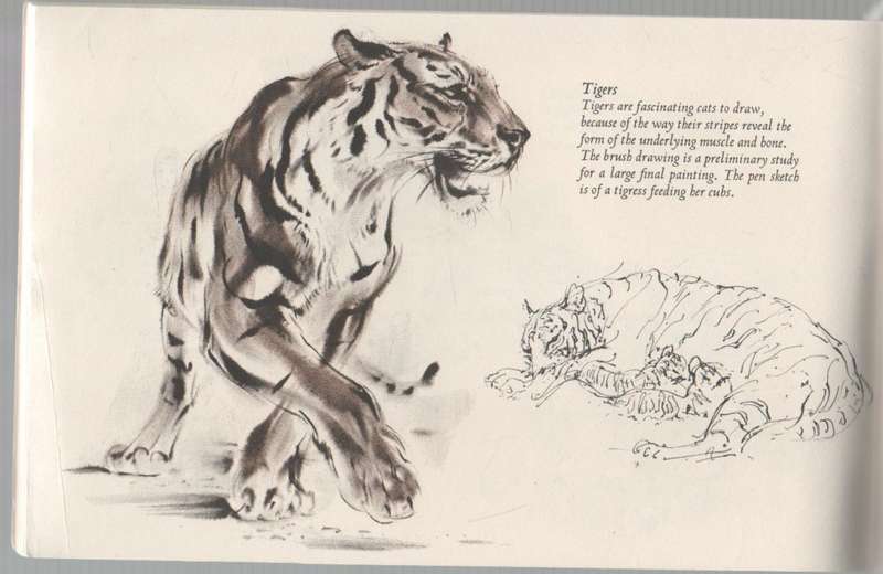 ANIMALS THROUGH THE EYES OF AN ARTIST , A SKETCHBOOK BY RALPH THOMPSON (1970)