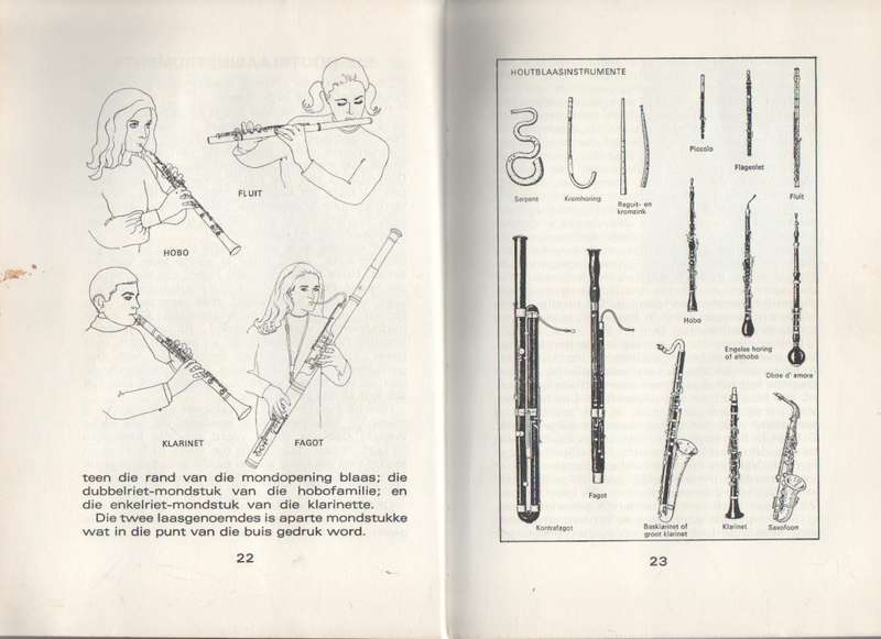 DIE ORKES EN SY INSTRUMENTE - VALERIE ROUX (1971)