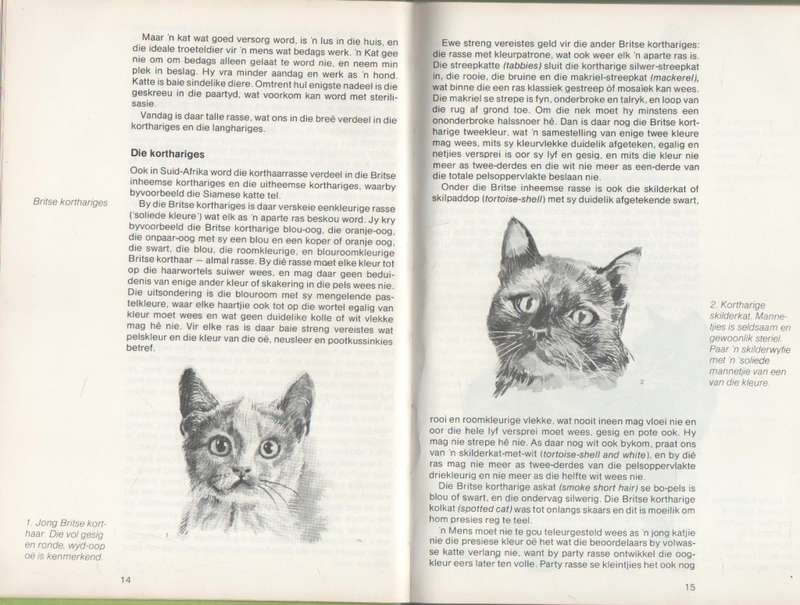 KATTE HONDE EN APIES - ANNA JONKER (1 STE DRUK 1982)