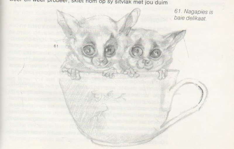 KATTE HONDE EN APIES - ANNA JONKER (1 STE DRUK 1982)