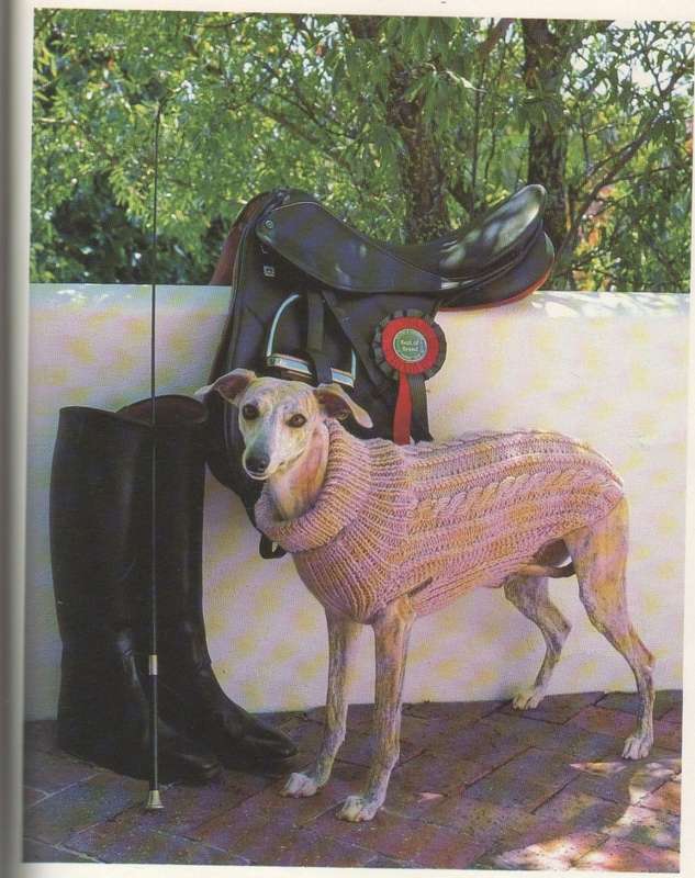 JAKKIES VIR BRAKKIES - ANNIEN TEUBES & JOKE KAHLER (1 STE UITGAWE 1992)