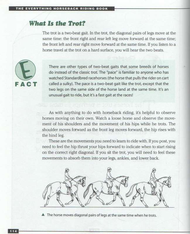 THE EVERYTHING HORSEBACK RIDING BOOK - CHERYL KIMBALL (2005)