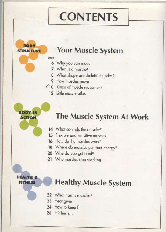 HOW MY BODY WORKS, THE MUSCLES - AN ORBIS PLAY & LEARN COLLECTION