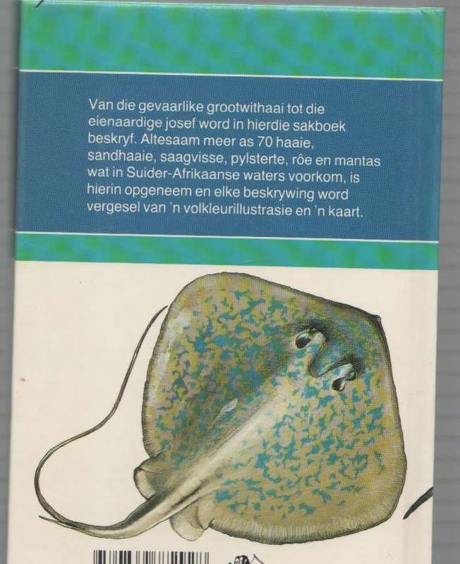 HAAIE EN PYLSTERTE - RUDY VAN DER ELST & ROY VERMEULEN (1987)
