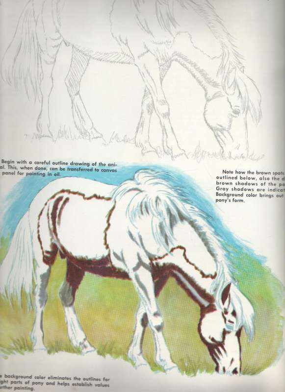 HOW TO DRAW AND PAINT TEXTURES OF ANIMALS - WALTER J WILWERDING