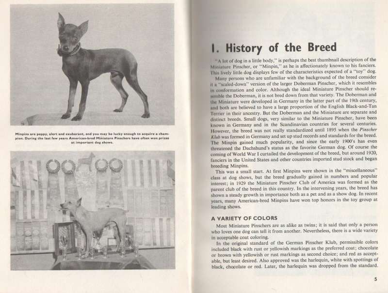 HOW TO RAISE AND TRAIN A MINIATURE PINSCHER - EVELYN MILLER (1971)