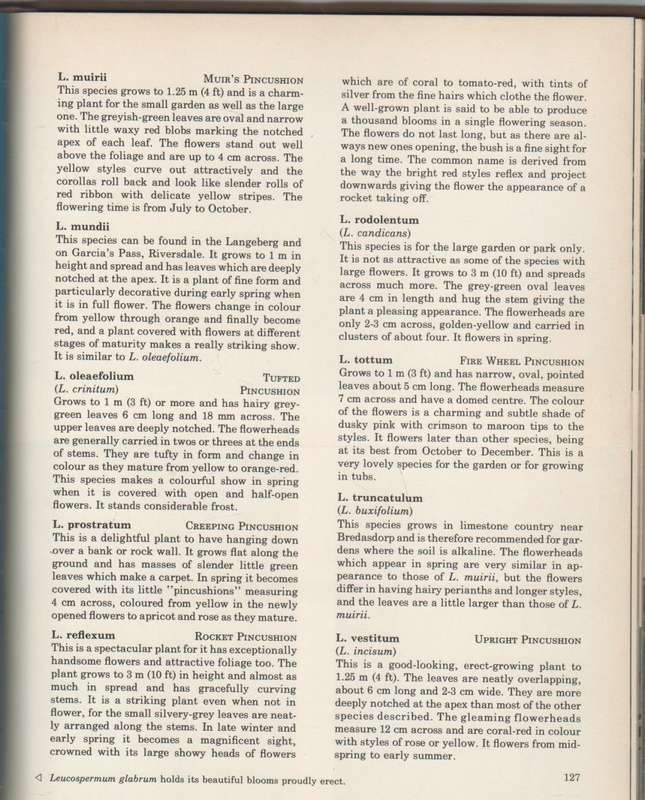 SOUTH AFRICAN SHRUBS & TREES FOR THE GARDEN - UNA VAN DER SPUY (1 ST EDITION 1971)