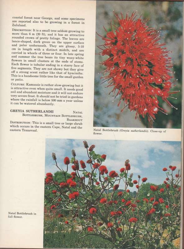 SOUTH AFRICAN SHRUBS & TREES FOR THE GARDEN - UNA VAN DER SPUY (1 ST EDITION 1971)