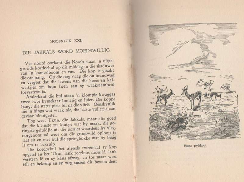 SKANKWAN VAN DIE DUINE - G C EN S B HOBSON (1936) BOESMANVERHAAL