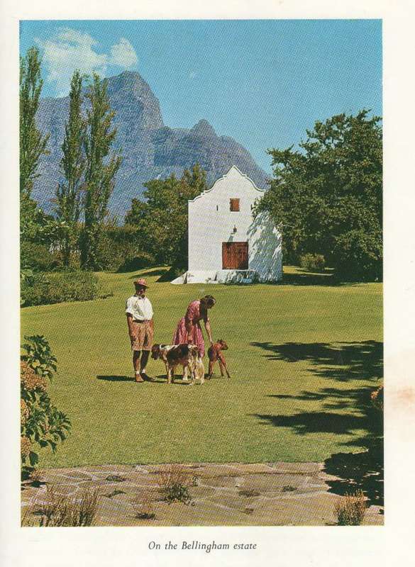 THE WHITE WINES OF SOUTH AFRICA - W A DE KLERK (1967)