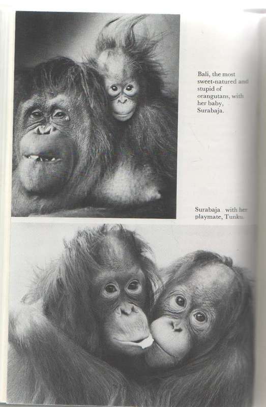 THE STATIONARY ARK - GERALD DURRELL (1 ST PUBLISHED 1976)