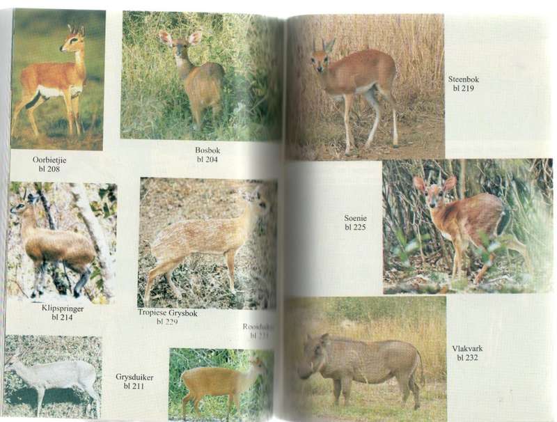 VLEIS OM DIE GESTALTE HERKOUTJIES UIT DIE WILDTUIN -LOURENS AUCAMP (2008)