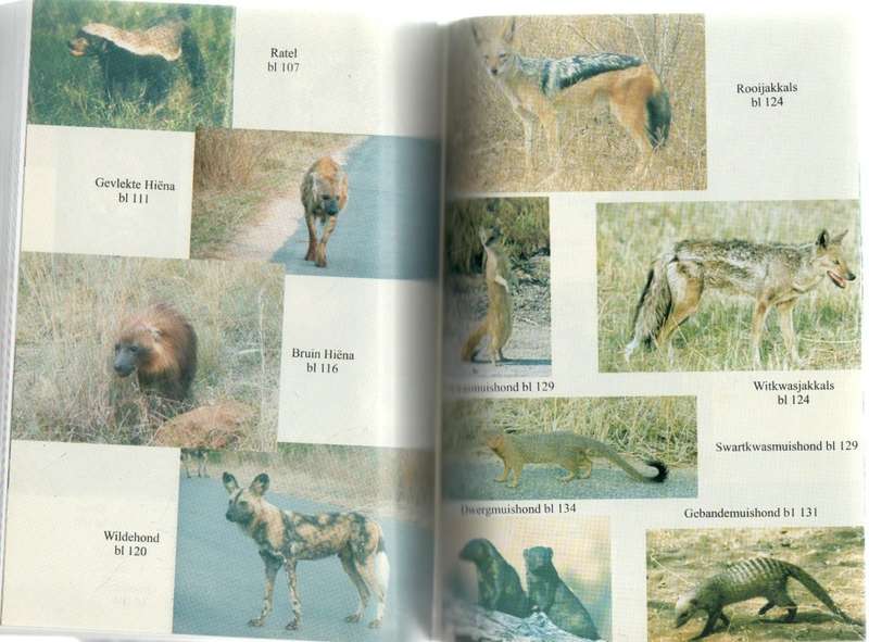 VLEIS OM DIE GESTALTE HERKOUTJIES UIT DIE WILDTUIN -LOURENS AUCAMP (2008)