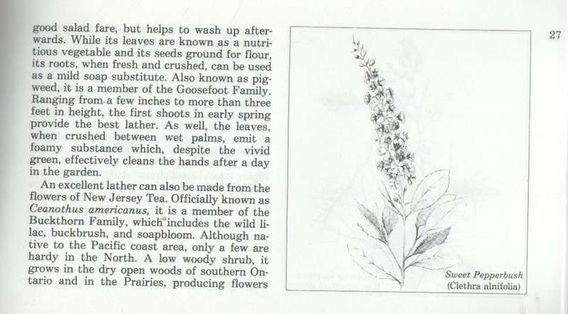THE ART OF SOAP MAKING - MERILYN MOHR (1979)