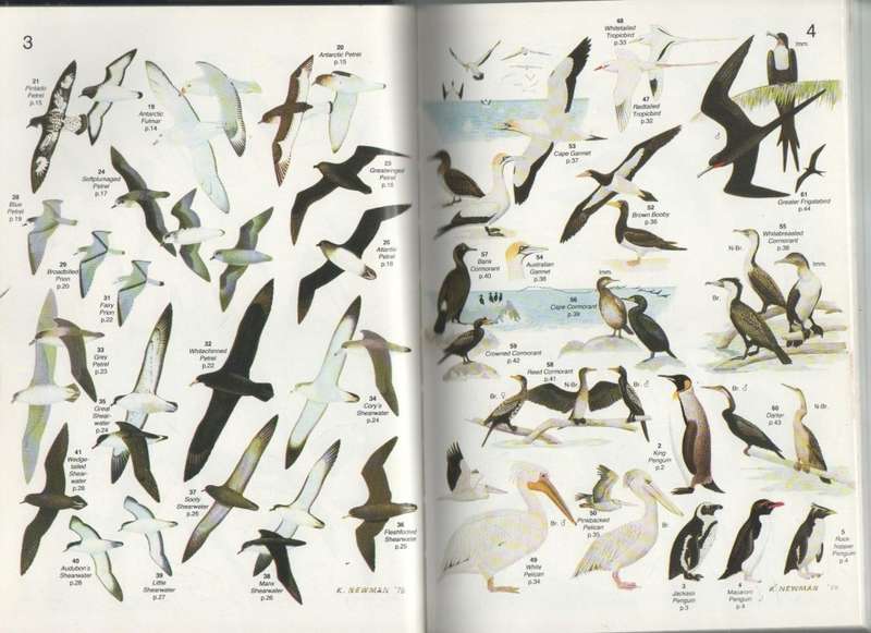 ROBERTS' BIRDS OF SOUTHERN AFRICA - GORDON LINDSAY MACLEAN (SIXTH EDITION 1993)