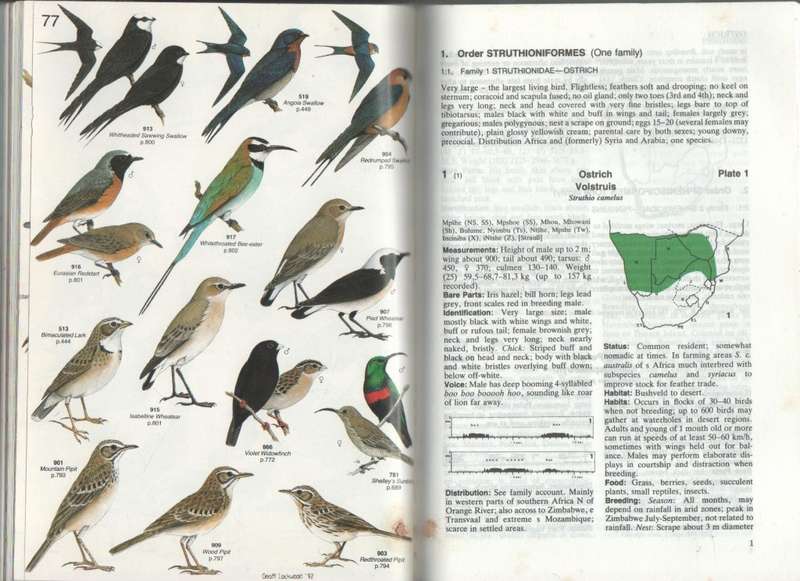 ROBERTS' BIRDS OF SOUTHERN AFRICA - GORDON LINDSAY MACLEAN (SIXTH EDITION 1993)