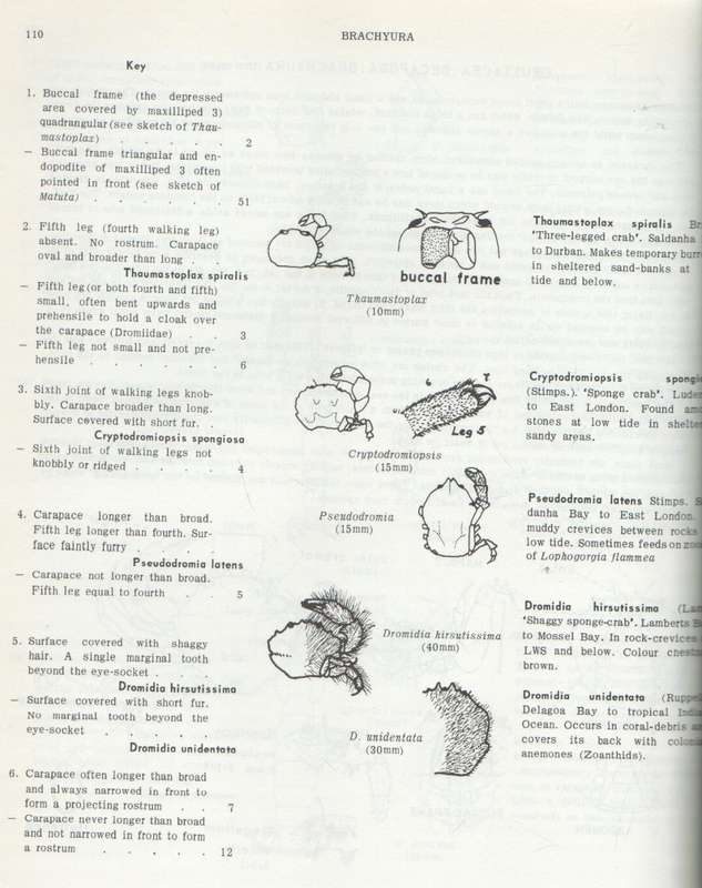 A GUIDE TO MARINE LIFE ON SOUTH AFRICAN SHORES - J H DAY (1974)