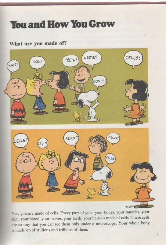 CHARLIE BROWN'S CYCLOPEDIA VOLUME 1  FEATURING YOUR BODY (1980)