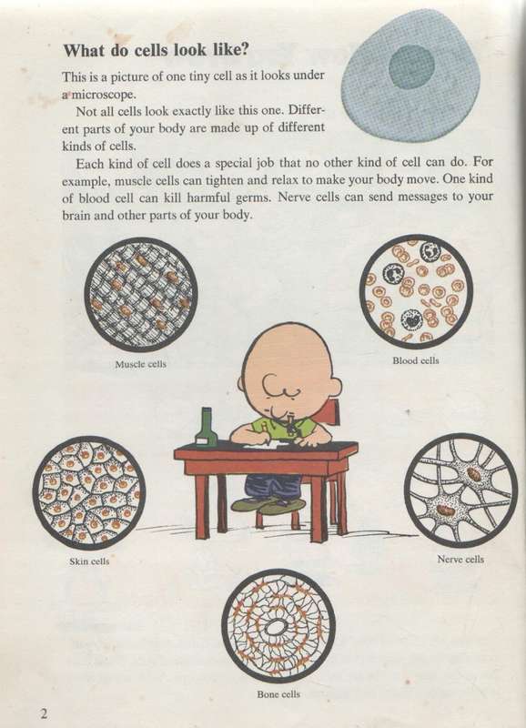 CHARLIE BROWN'S CYCLOPEDIA VOLUME 1  FEATURING YOUR BODY (1980)