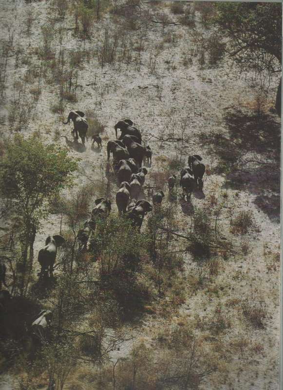 NAMIBIA THE UNTAMED LAND - GERALD CUBITT