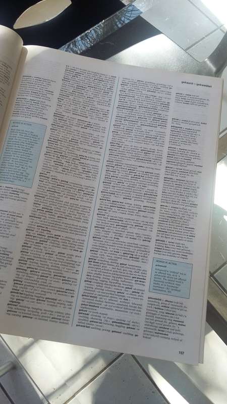 Reader's Digest Afrikaans/English Dictionary (hardcover)