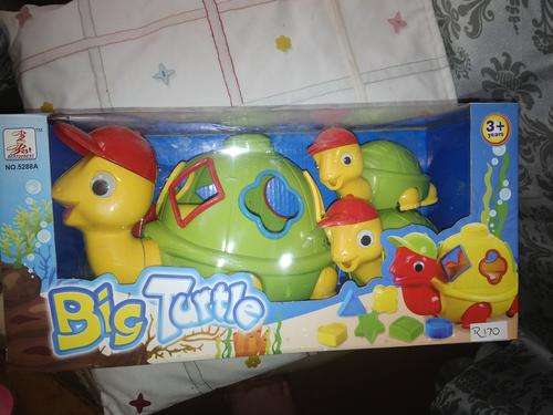 Big Turtle - Shapes & Co-Ordination