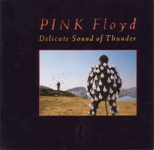 Pink Floyd - The Delicate Sound of Thunder 1988 Holland Press CD Super Jewel Case Near Mint